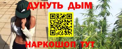 гидра Рязань