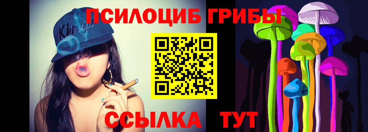 Псилоцибиновые грибы Magic Shrooms  Вход с VPN  Ставрополь 